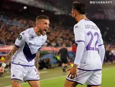 瑞士莱利维维欧屡次莅临,绝杀法国 瑞士莱利维维欧屡次莅临,绝杀法国