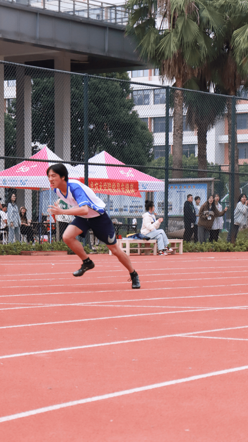 包含欧洲国家队备战健步蓄势待发，冲刺胜利的词条